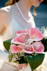 Similar image 810514