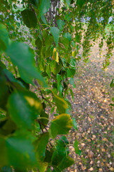 Similar image 810541