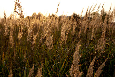 Similar image 810550