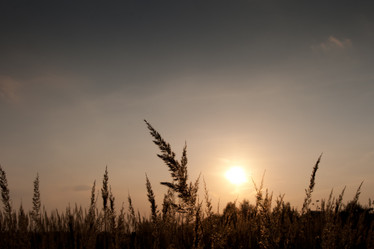 Similar image 810552