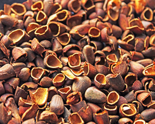 Similar image 810564