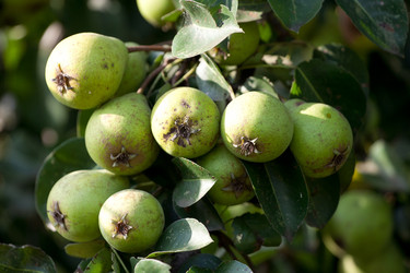 Similar image 810572