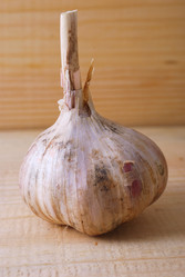 Similar image 810579