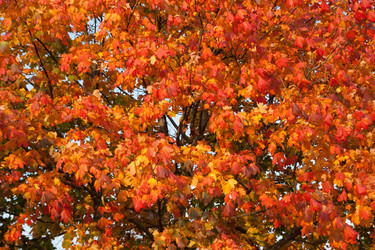 Similar image 810590