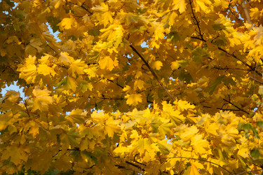 Similar image 810592