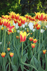 Similar image 810624