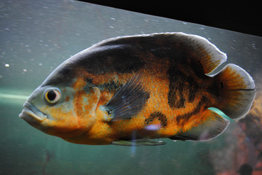 Similar image 810657