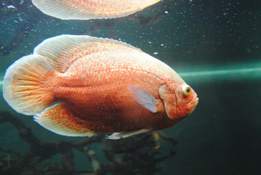 Similar image 810659