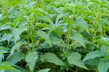 Similar image 810691