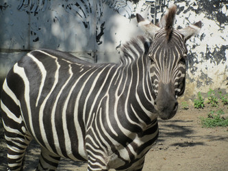 Similar image 810721