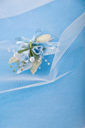 Similar image 810731