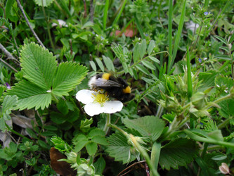 Similar image 810746