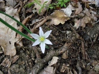 Similar image 810751