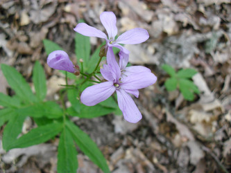 Similar image 810752