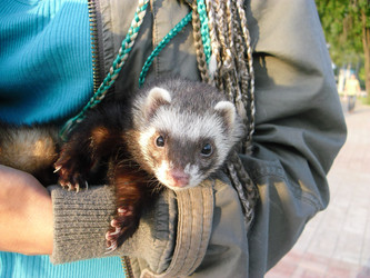 Similar image 810761