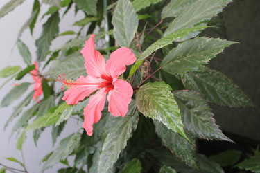 Similar image 810762