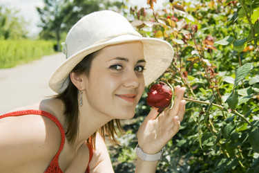 Similar image 810776