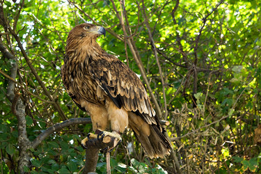 Similar image 810792