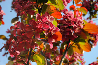 Similar image 810797