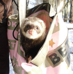 Similar image 810798