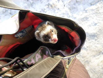 Similar image 810801