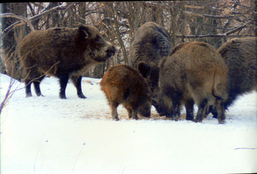 Similar image 810834