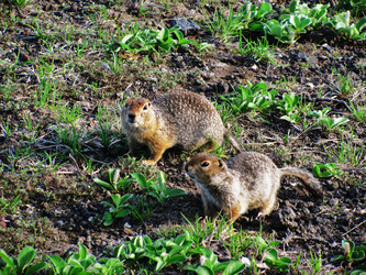 Similar image 810844