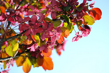 Similar image 810845