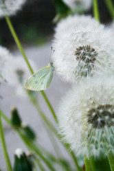 Similar image 810876