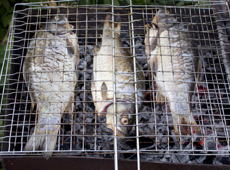 Similar image 810892