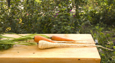 Similar image 810894