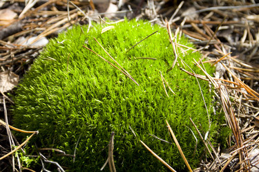 Similar image 810895