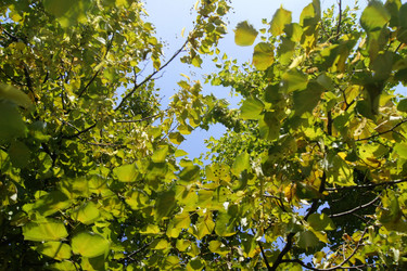 Similar image 810917