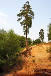 Similar image 810924