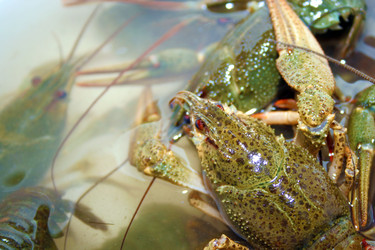 Similar image 810941