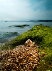 Similar image 810966