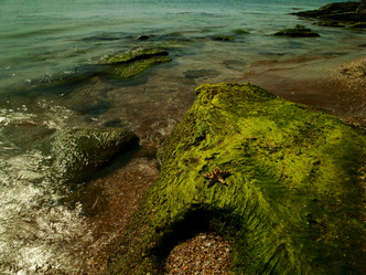 Similar image 810967