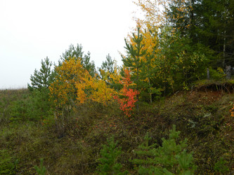 Similar image 810995