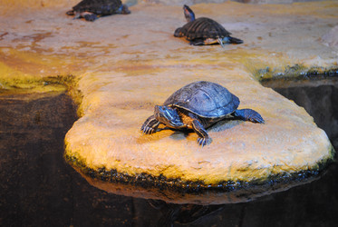 Similar image 810997