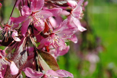 Similar image 811010