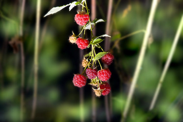 Similar image 811012