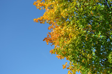 Similar image 811082