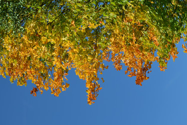 Similar image 811089