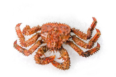 Similar image 811114