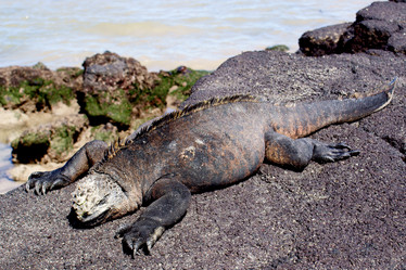 Similar image 811116