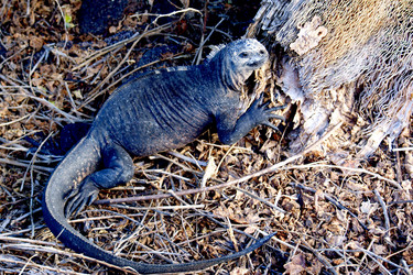 Similar image 811118