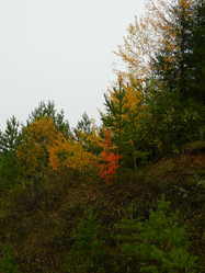 Similar image 811312