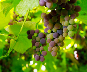 Similar image 811411