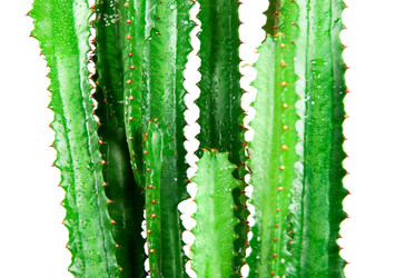 Similar image 811423