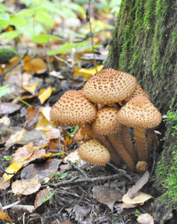 Similar image 811441